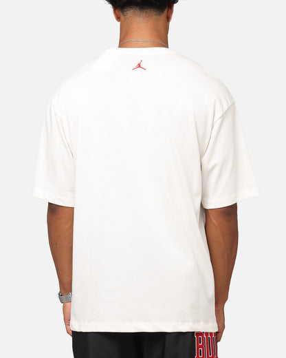 Jordan Jumpman Flight Essentials Graphic Oversized T-Shirt Sail